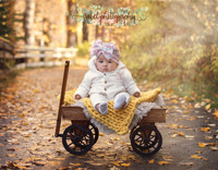 Fall Sessions